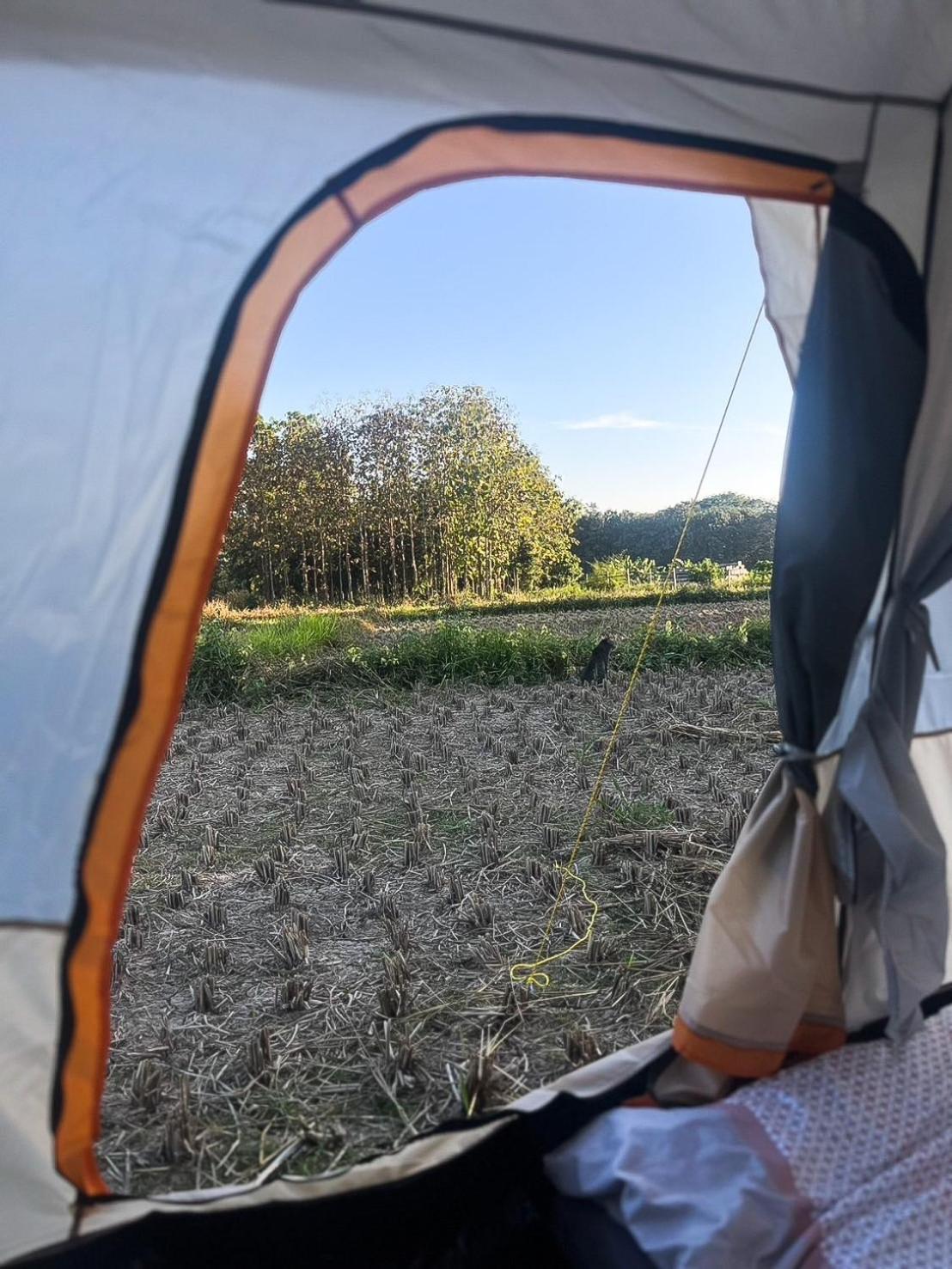 Camp View Mountain - Sell Experience By Paddy Fields Haven - Natures Nest Pai Exteriér fotografie