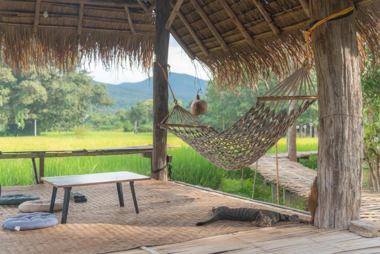 Camp View Mountain - Sell Experience By Paddy Fields Haven - Natures Nest Pai Exteriér fotografie